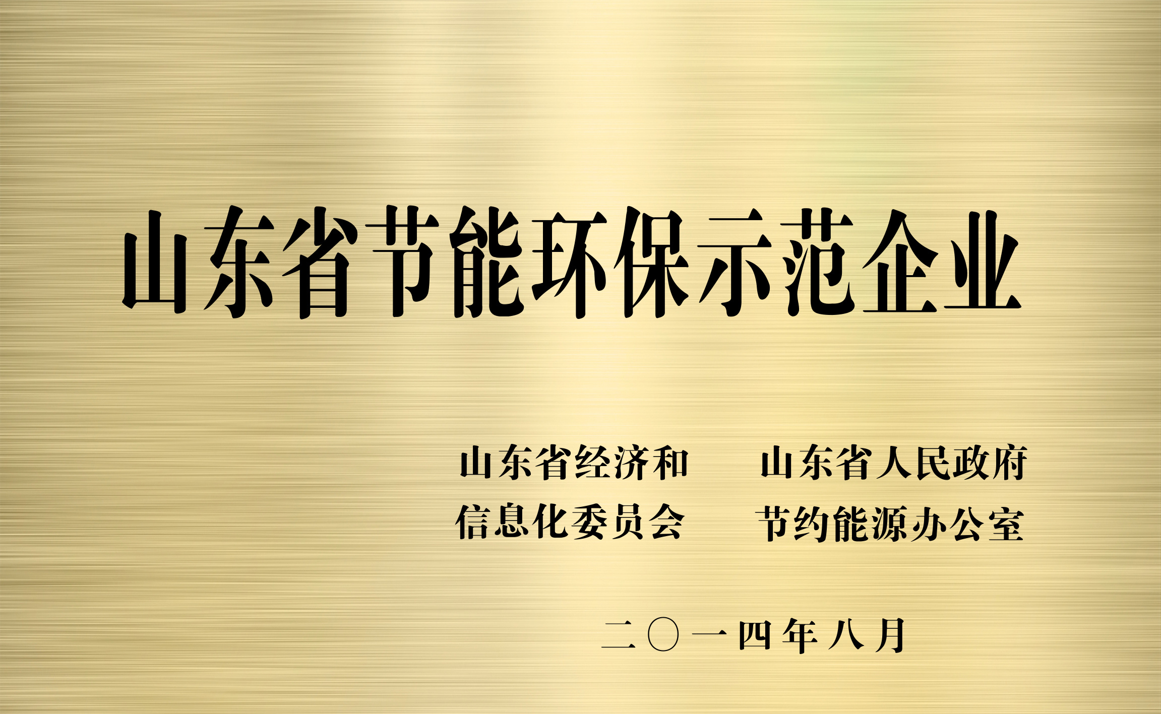山东省节能环保示范企业