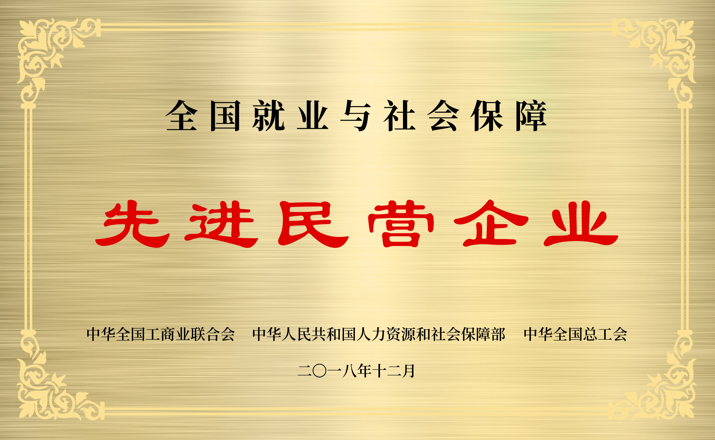 全国就业与社会保障先进民营企业